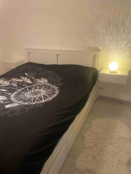 Appartement Avec Beaucoup De Charme Bron France